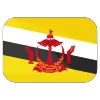 🇧🇳