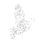 🕊️