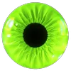 👁️
