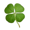 🍀