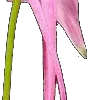 ⭐