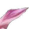 ⭐