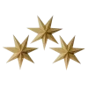 🌟