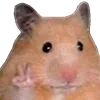 ✌