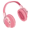 🎧