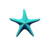 ⭐