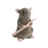 🐭