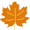 🍁
