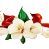🌺