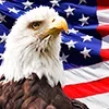 🇺🇸