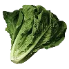 🥬