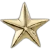 🌟