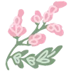 🌸