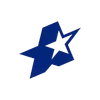 🌟