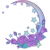 ✨