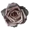 🌹
