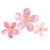 🌸