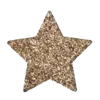 🌟