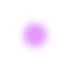 🟣