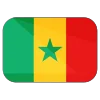 🇸🇳