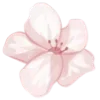 🌸
