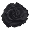 🌹