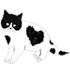 🐈‍⬛