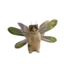 🌟