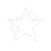🌟