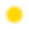 💛
