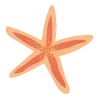 🌟