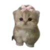 🐱