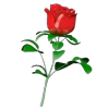 🌹