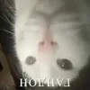 🙃