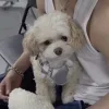 🤩