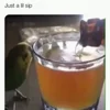 🦜