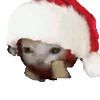 🎅
