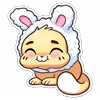 🐰