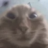 😳