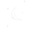 ✨
