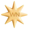 🌟