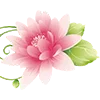 🌸