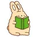 📖
