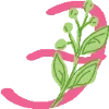 🌸