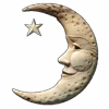 ⭐️