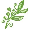 🌿