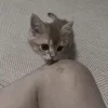 🤩