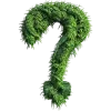 ❓