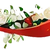 🌺