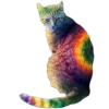 🐈